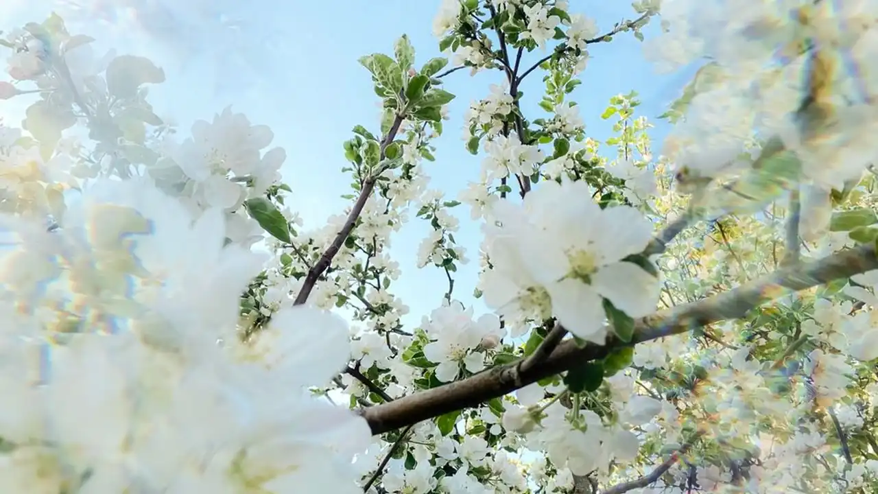 富勒姆1-dafcd941