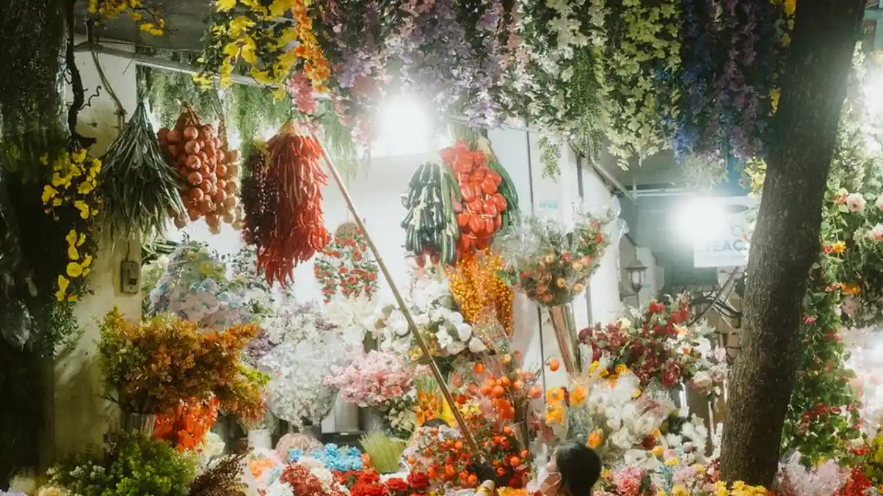 想看日批视频相关配图