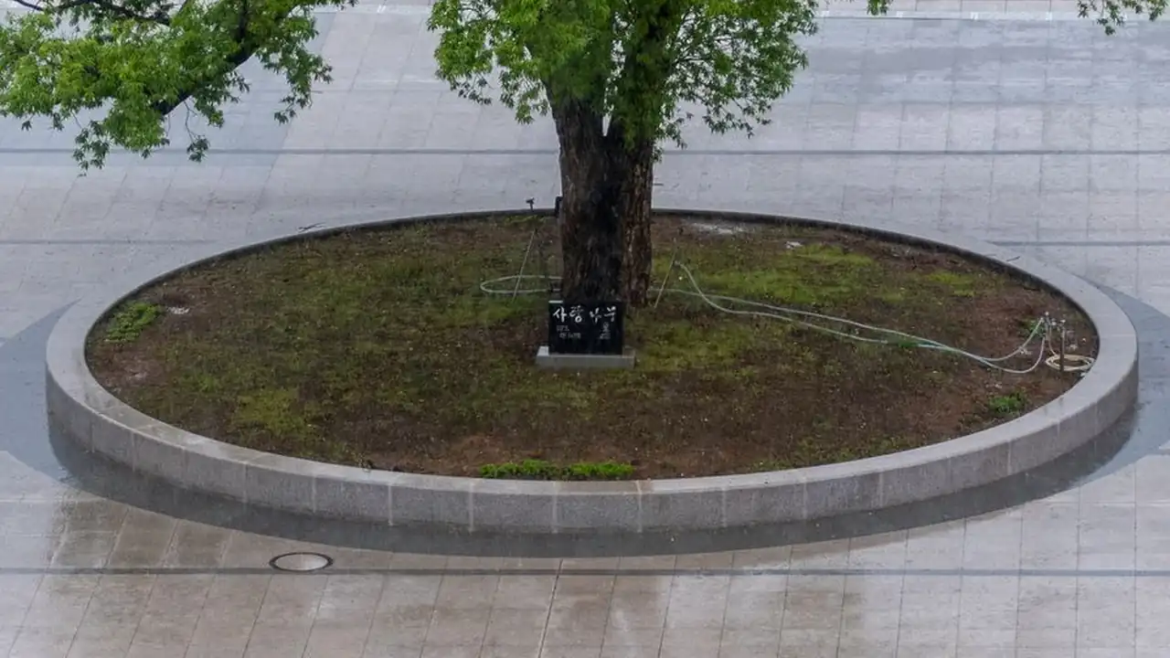 跨时代mv下载相关配图