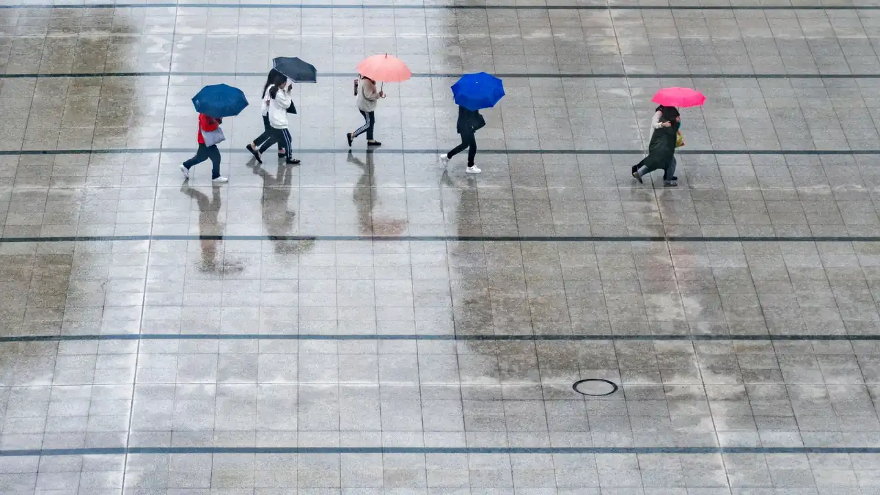 你懂的快播相关配图